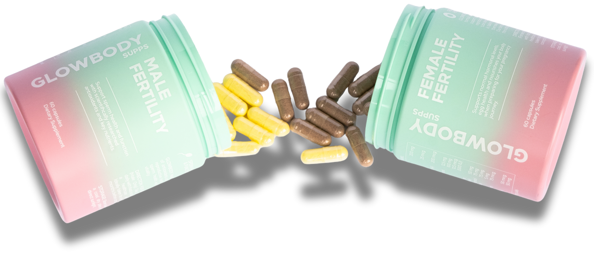 Two packages of Glowbody Supps supplements, Male & Female Fertility, with respective capsules on a white background.